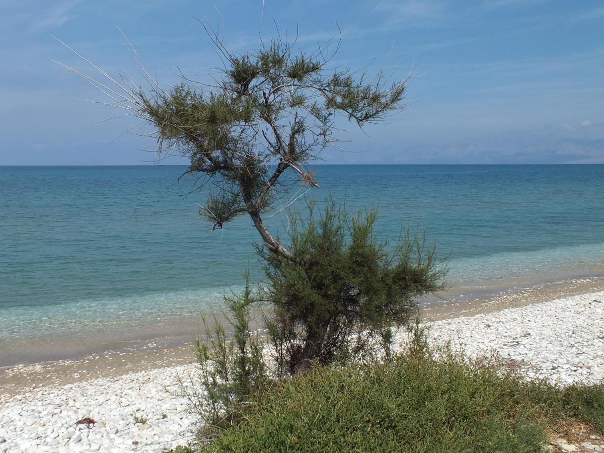 Frosos Beachfront Maisonette Acharavi Acharavi  Exteriér fotografie